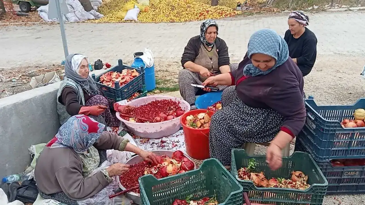 Mersin’de Asırlık Nar Ekşisi Geleneği: Katkısız, Doğal, Şifalı! 3